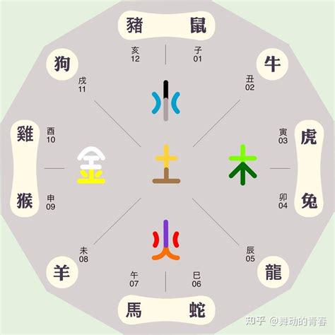 五行代表動物|动物五行属什么 (十二生肖五行对照表图)